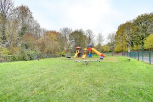 photo15
