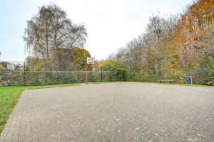 photo16